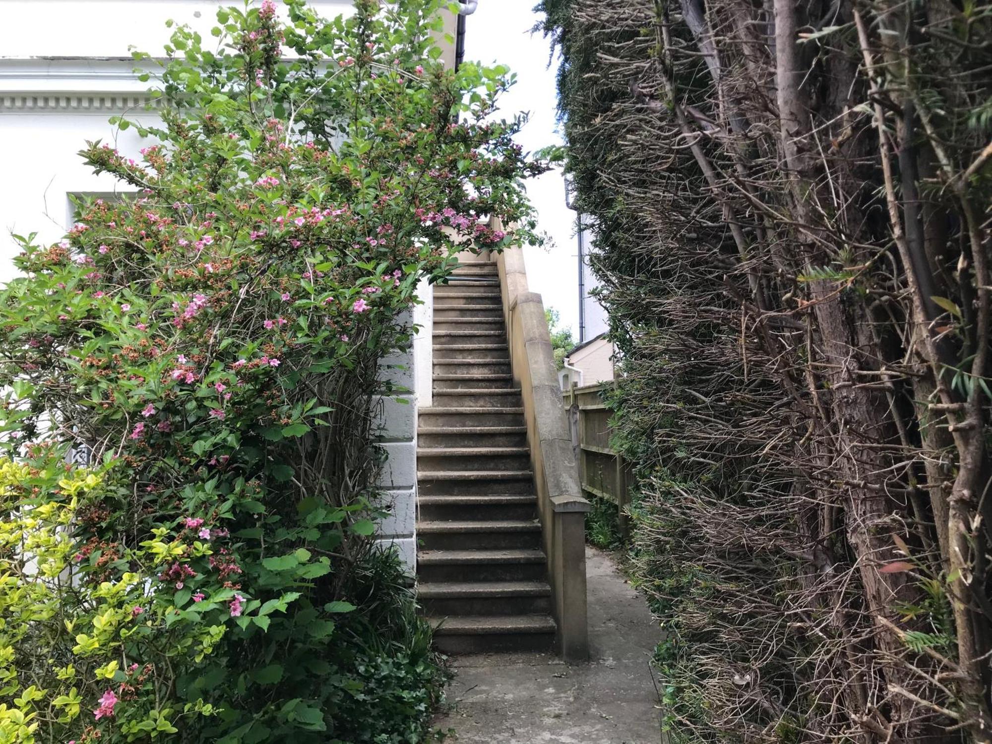 Tree Tops Apartment In Tunbridge Wells Εξωτερικό φωτογραφία